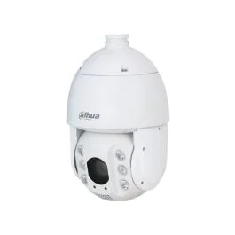 segshop20260524110600589428