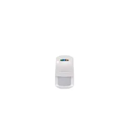 segshop20260524113324595175